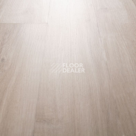 IVC Primero (DryBack) IVC Primero 24137Q фото 5 | FLOORDEALER